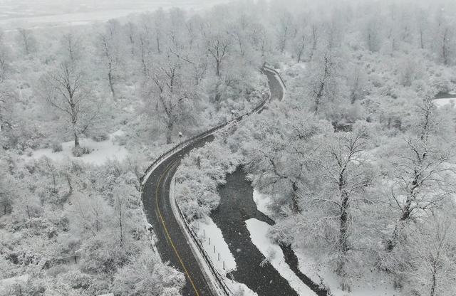 疆山如画丨雪花纷飞 那拉提披上银白盛装