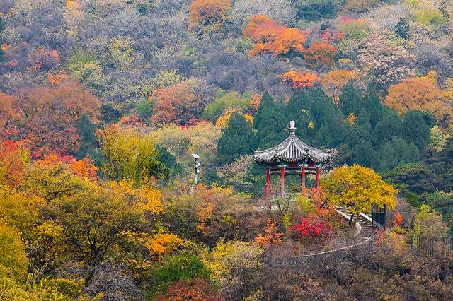 全国红叶上线中