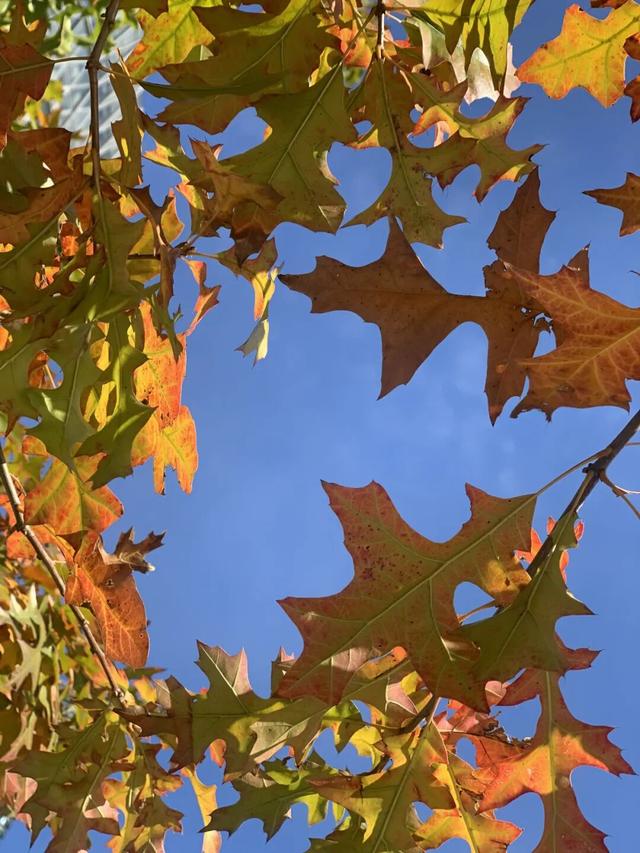 沿途处处是风景！北外滩这条线路您打卡了吗？新媒体粉丝线下活动现场照片来袭