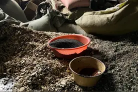 影子暗访·315｜菌污“爆表”的热销足浴包，现“北京同仁堂”“雷允上”等知名品牌图片