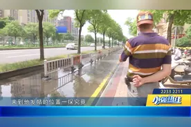 全民拍 | 你拍摄我行动  记者实地走访“蚊虫滋生点”图片