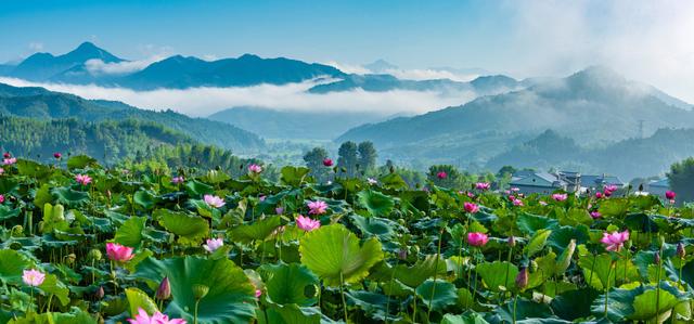 福建建宁：一座越来越“聪明”的城市