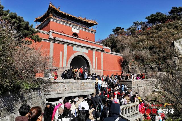 重阳登泰山 敬老暖意浓