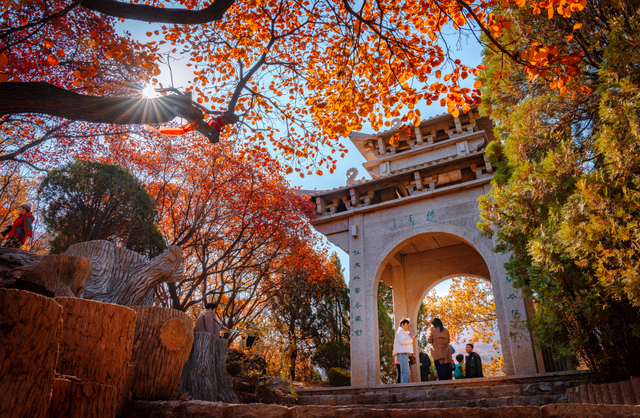 一步一景入画来！济南红叶谷的深秋藏着最治愈的诗意