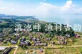 高质量发展调研行|滇池畔，渔村古韵与蓝天向日葵太配了图片