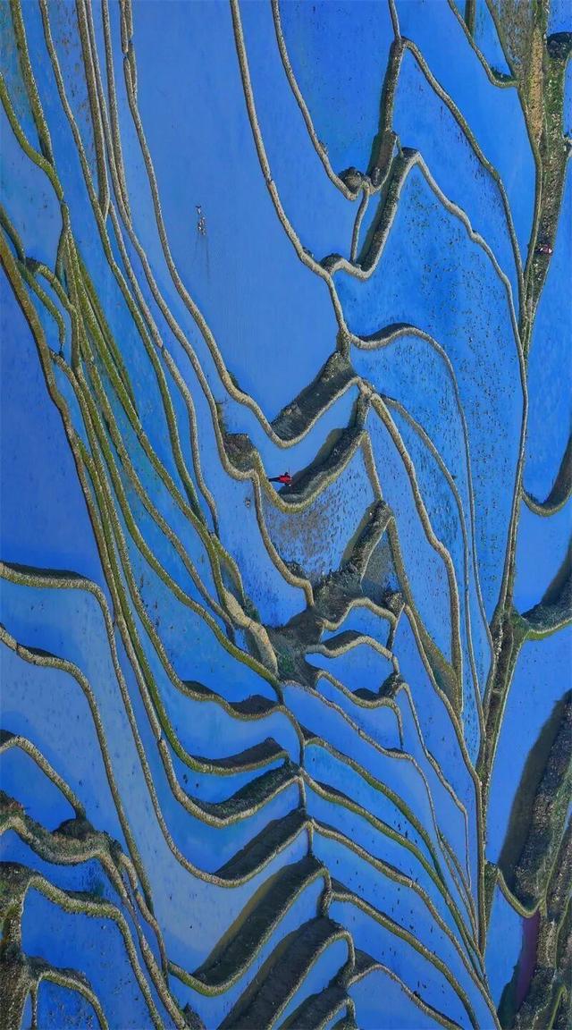 秋冬，来红河旅居吧！