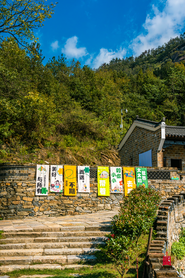 想追风,去团风!