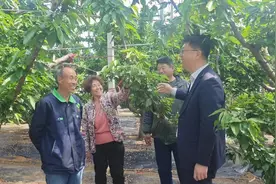 金融活水润泽县域经济｜青岛银行发放全国首笔“碳惠贷”生猪业务图片