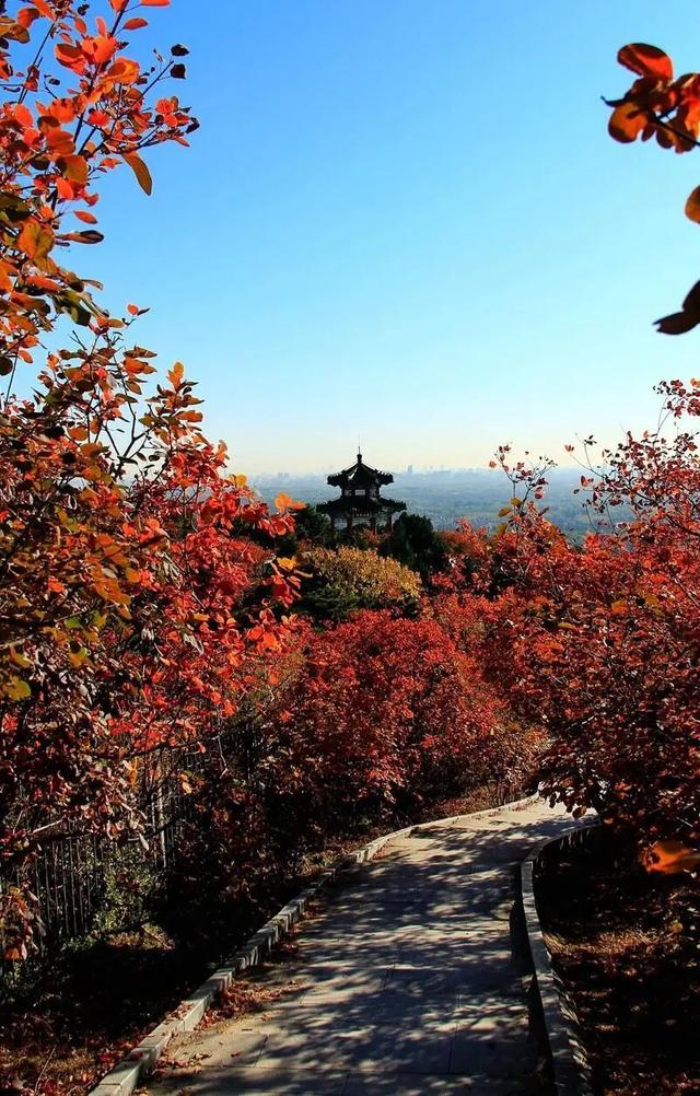 北京发布“公园治愈指南”，我们才发现，金代人早就在西山打卡了