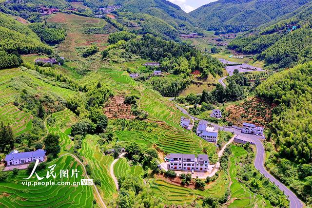 江西崇义：初秋梯田景如画