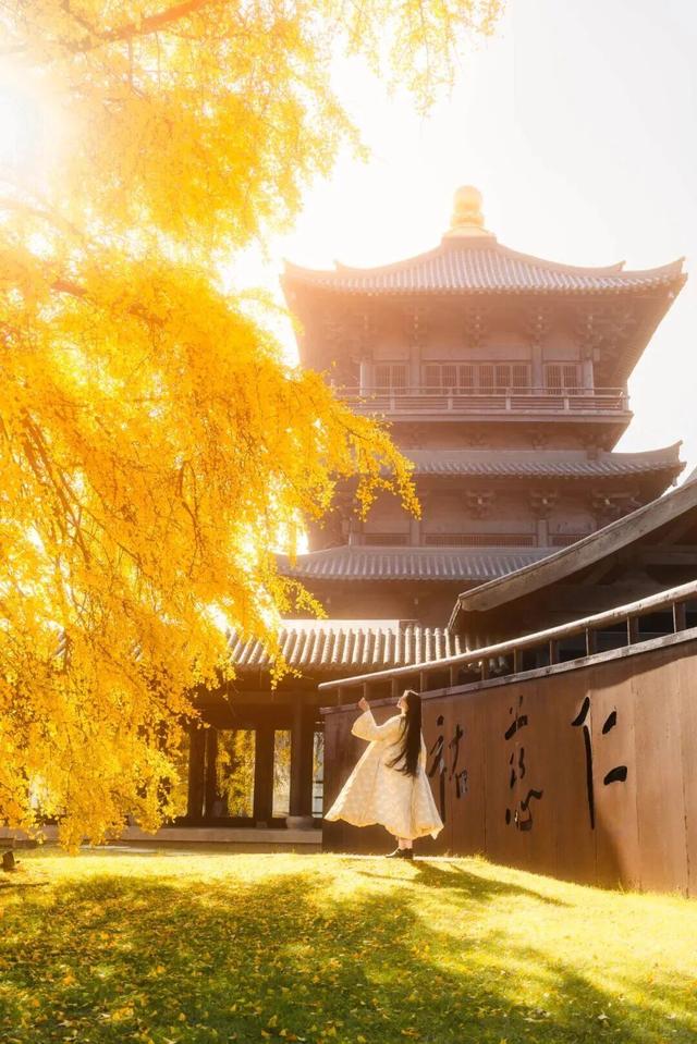 嘉兴的水乡，藏着古镇天花板级美景！