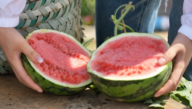 来六合，过个惬意的夏天！