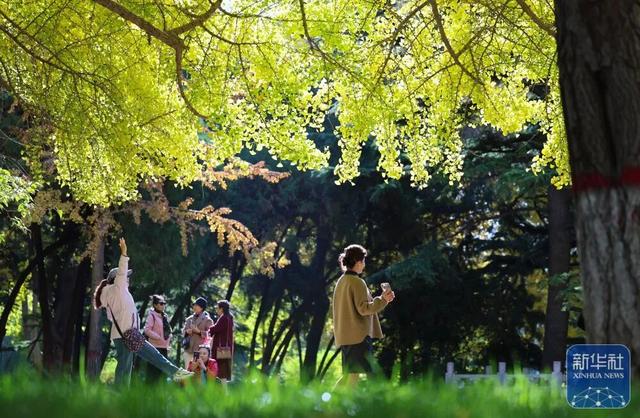 秋声渐杳 斑斓成诗