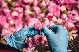 探寻“宝藏年货”地图，你的家乡上榜了吗？图片