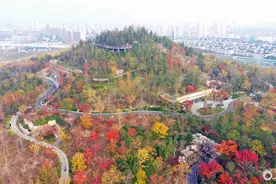 上海为什么要在寸土寸金的市中心造园堆山？图片