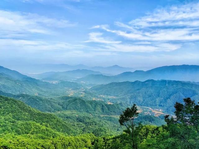 木札岭限定！一起聆听夏天的声音～