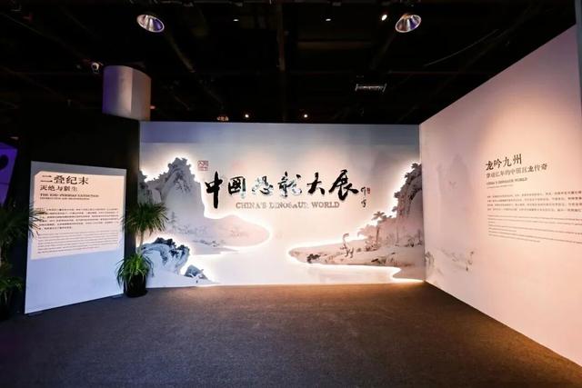 与恐龙共舞的午后：1月16日12点「看东方」直播开启自然博物馆的隐秘叙事！