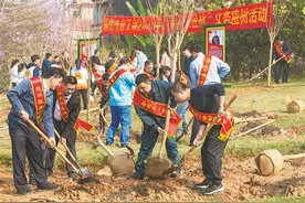 共植“劳模工匠林”图片