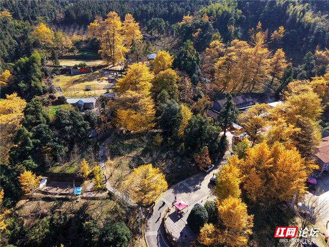 【每日一图@湖南】在永州桐子坳，我找到了最动人的浪漫