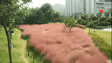 渭南各地秋意浓！图片