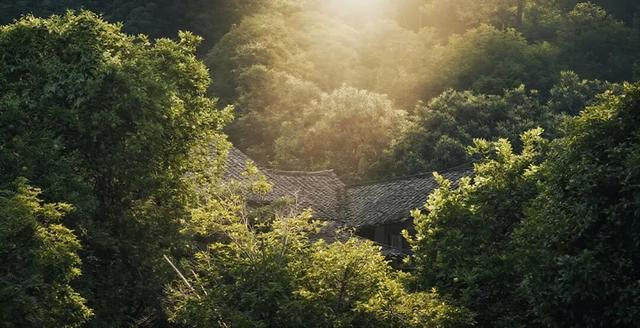初冬，来大龙开发区遇见“限定暖阳”