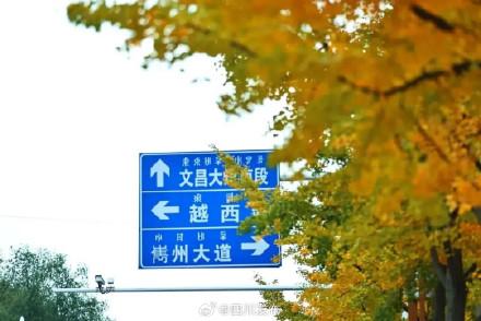 四川这份深秋限定浪漫，等你“淘”取！