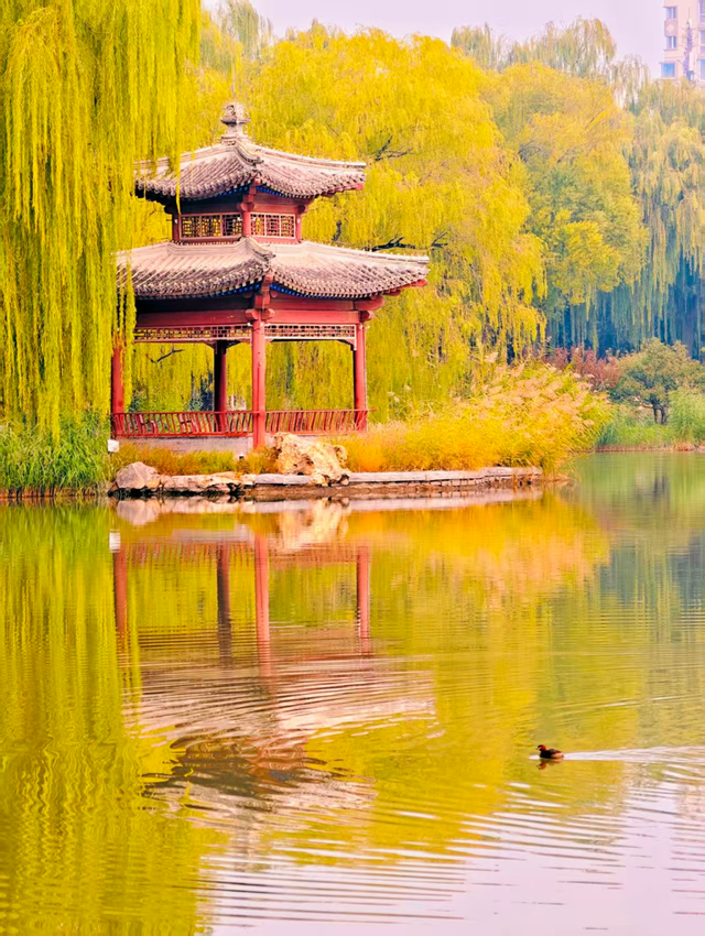 层林尽染时，邂逅北京的秋日斑斓