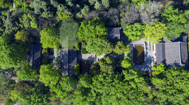 十里秦淮看南京 | 一水一山，织就金陵千年文脉