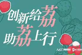 海南鲜荔上市，拼多多助力商家提利润，农户增收超20%图片