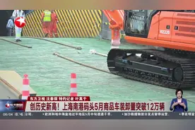 创历史新高！上海南港码头5月商品车装卸量突破12万辆