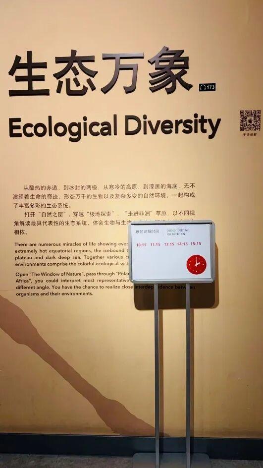 上海自然博物馆讲解服务最全攻略奉上～