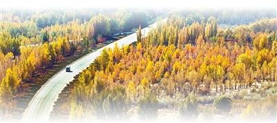 坚持“双碳”引领，推动全面绿色转型（稳中求进、提质增效 实现“十五五	”良好开局）