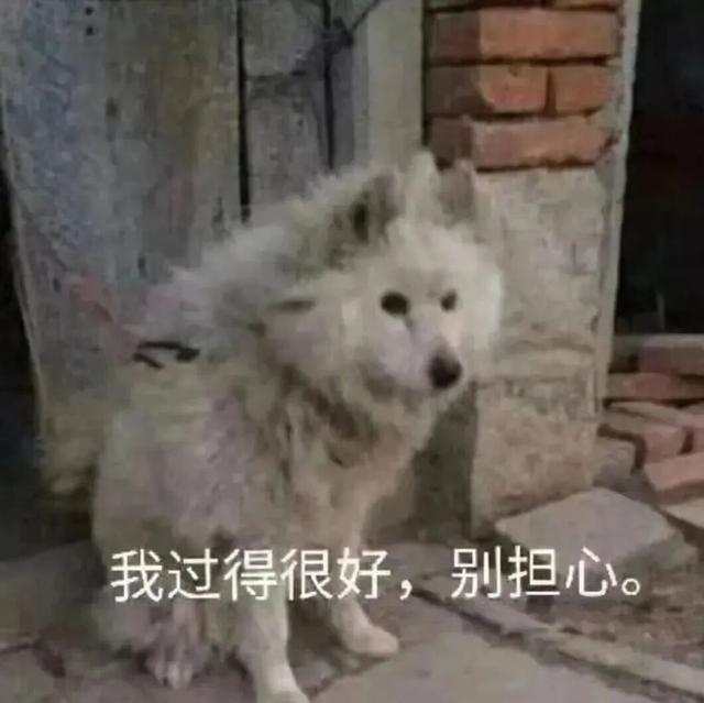 把人饿晕的荒野求生，咋那么多人抢着去？！