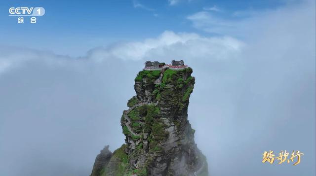 踏歌行丨走进“地球的独生子”的栖息地