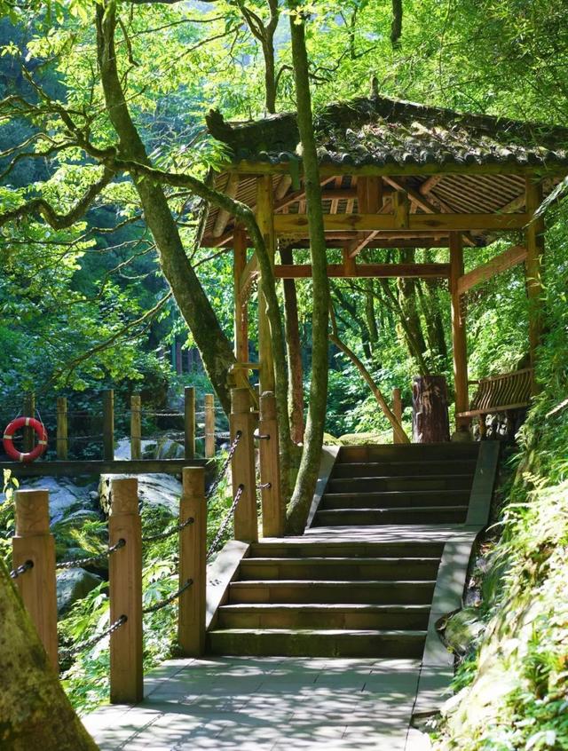 A线来啦！瓦屋山兰溪绝壁栈道、半山画廊，7月19日试开放！全山徒步挑战赛打卡线路同步更新！