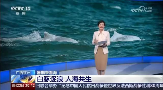 假期余额告急？央视力荐钦州，赶紧安排上→