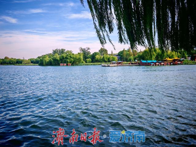 一年四季 泉在济南丨大明湖游人如织 秋意正浓