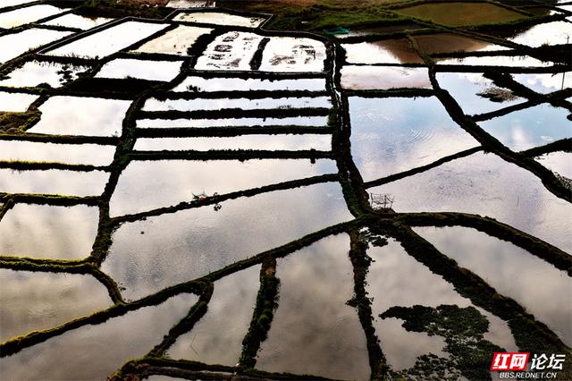 岁暖时刻丨峰峦为幕，稻田作镜！沐宦头村的黄昏是自然最工整的构图