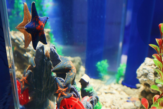 快预约！1月22日起，河南省科技馆能“深海”探险！