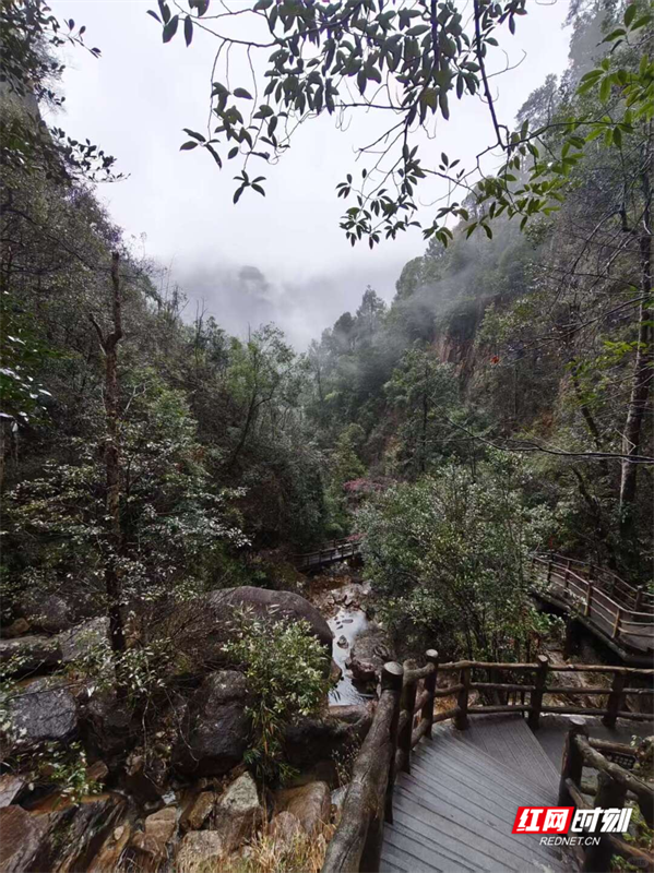 郴州“和美乡村”国庆漫游指南：看见不一样的“湘”村烟火与诗意