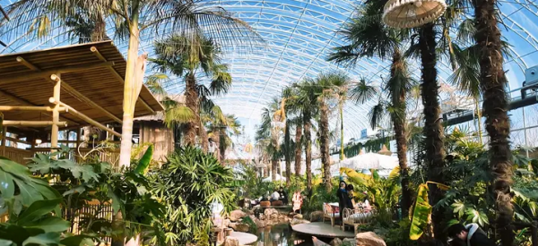 镇江再添文旅新地标！漫花岭“有虎YOHO”热带植物馆春节亮相