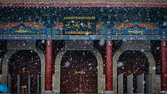 出色！洛阳这些最美场景等你解锁