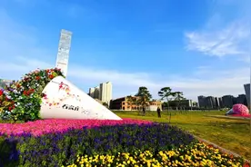 本文“含花量”100%！石家庄赏花攻略来啦~图片