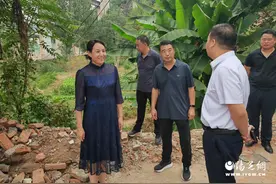 商南：刘华督导城北体育运动公园项目建设图片