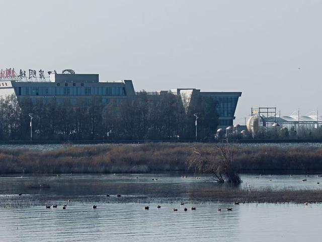 组图｜红崖山水库：邂逅一汪清冽 收藏冬日静美