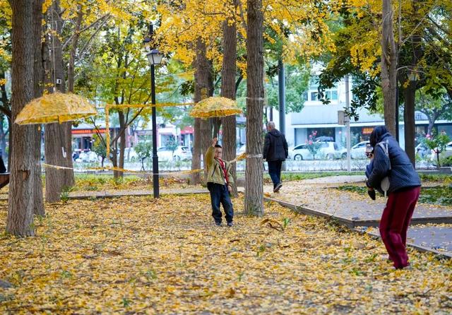 出片率100%！海陵“含金量”在上升！