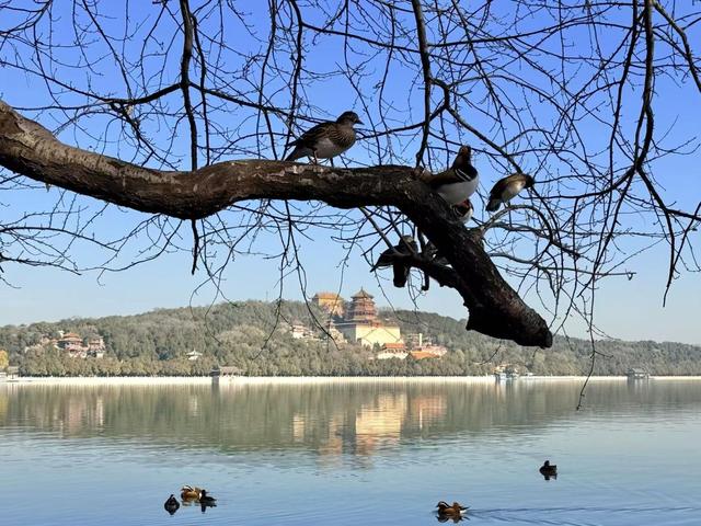 小雪宜出游，颐和园里游人赏初冬美景