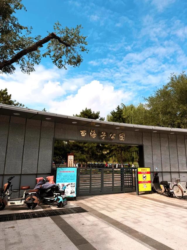 打卡人超多！小编实探：通州这个知名公园景观焕新升级，还藏着一处惊喜......