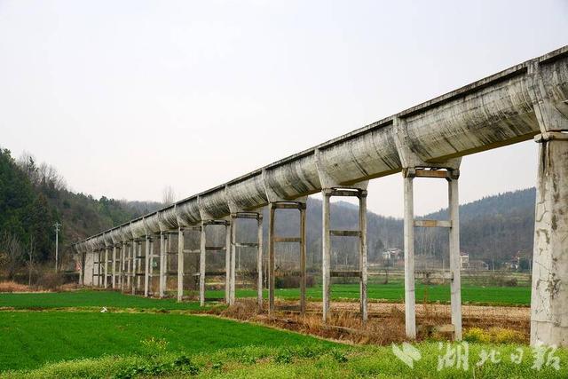 京山：阳春三月 赏花正当时