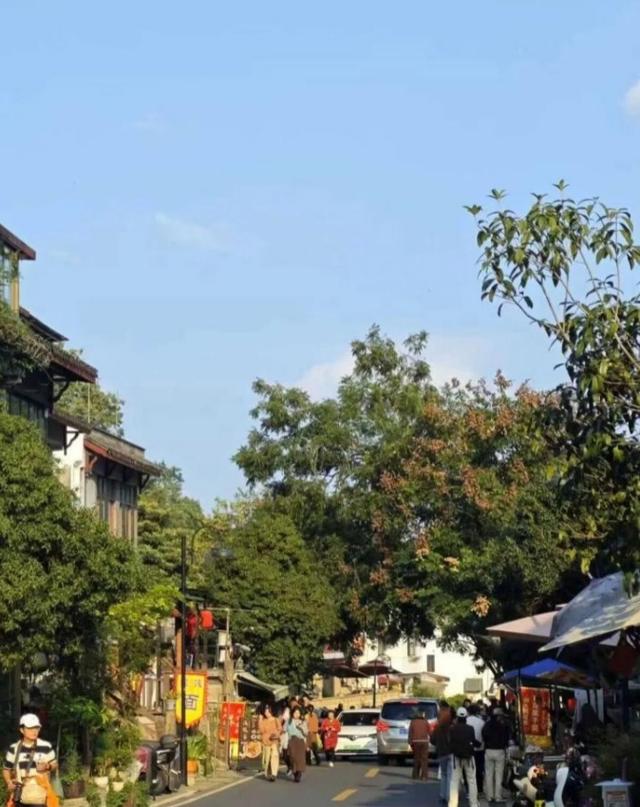 在杭州，秋日骑行寻桂香！